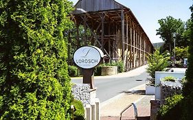 Hotel Lorösch